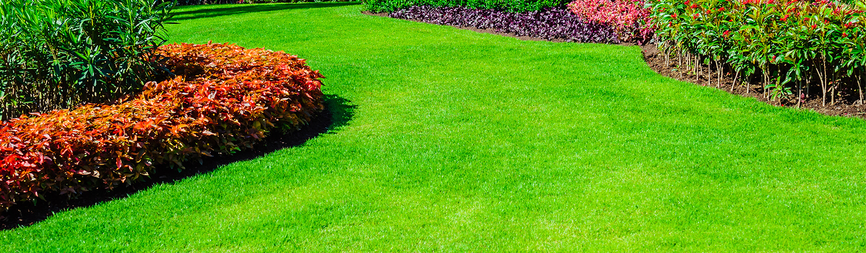 Jamestown Lawn Maintenance, Lawn Care Services and Lawn Mowing Service